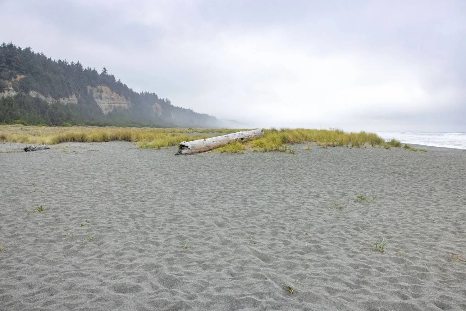 Gold Bluffs Beach California