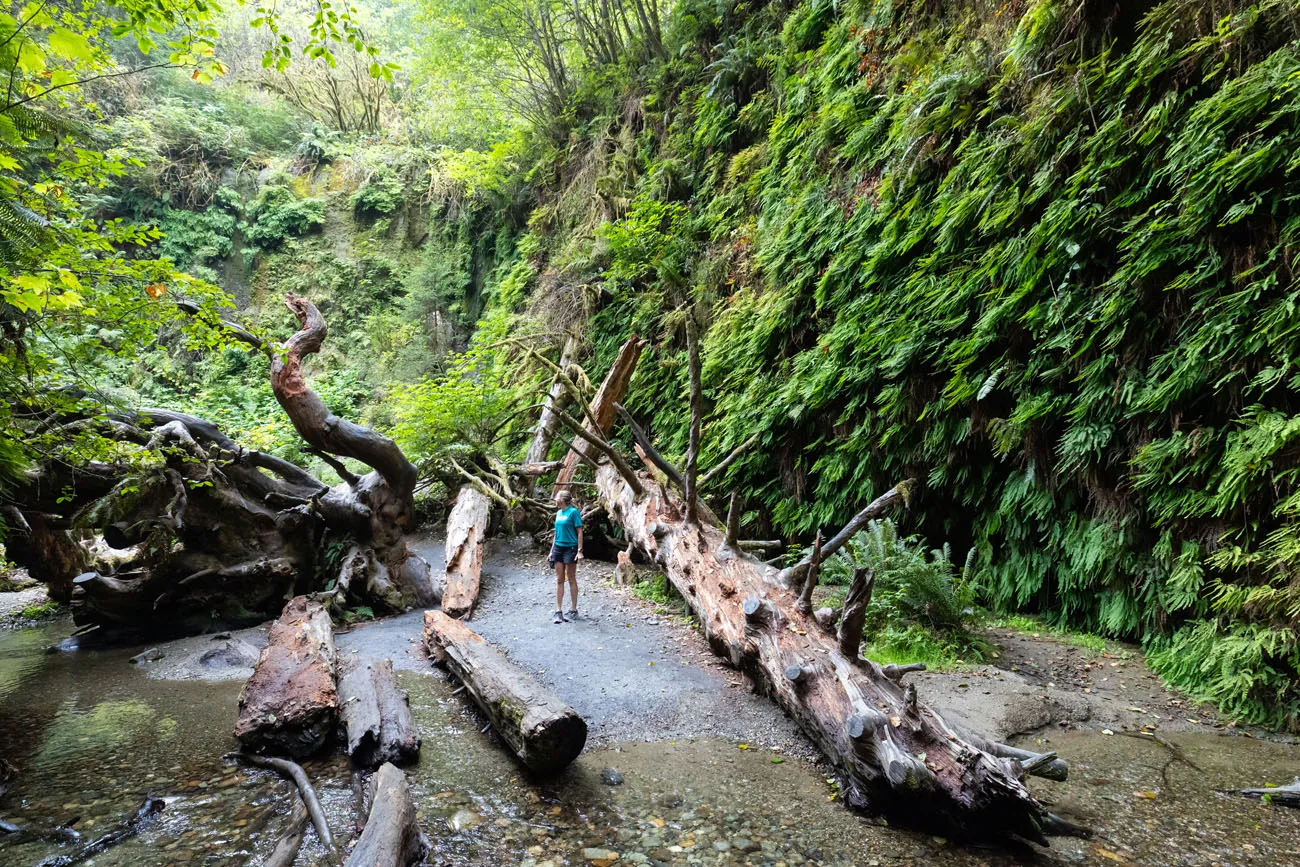Julie in Fern Canyon