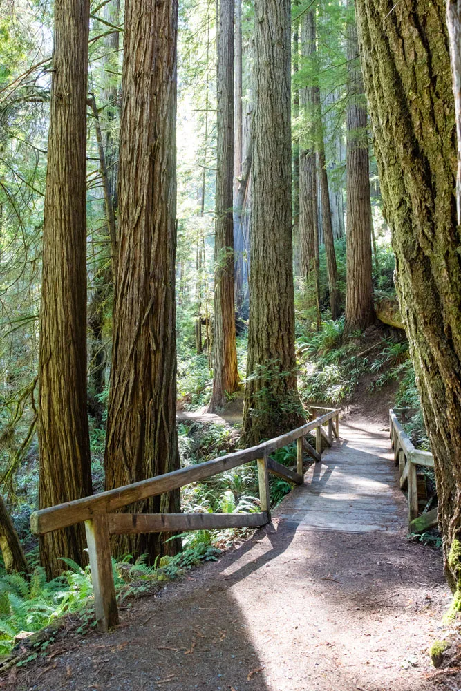 Karl Knapp Trail