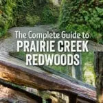 Best things to do in Prairie Creek Redwoods State Park: Big Tree Wayside, Fern Canyon, Karl Knapp Trail, and more.
