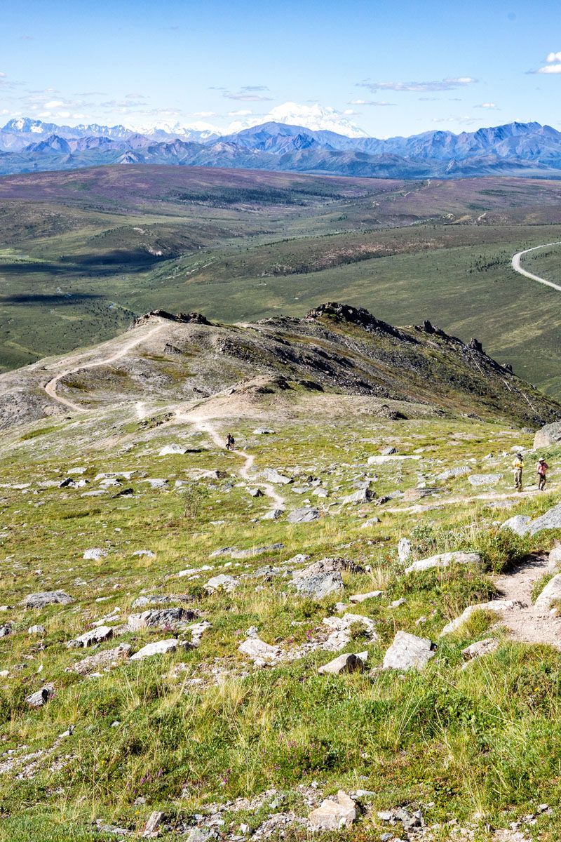 Savage Alpine Trail Photo