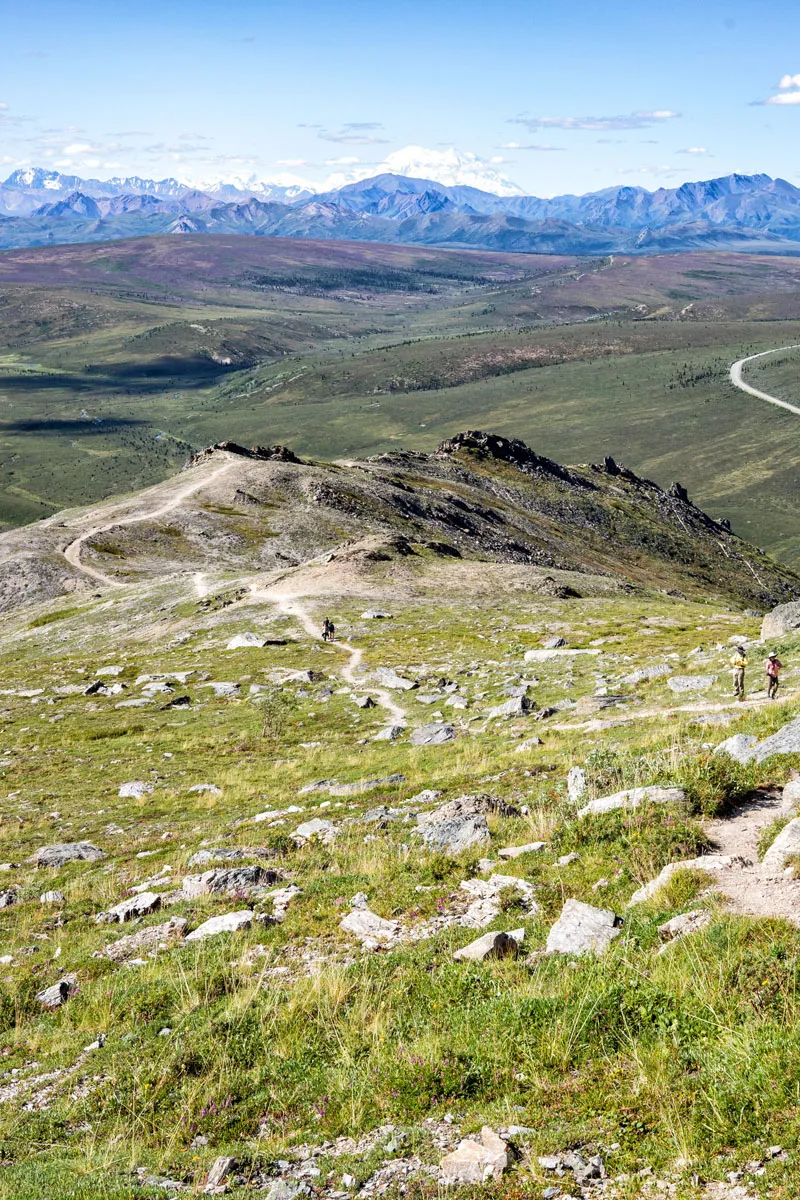 Savage Alpine Trail Photo