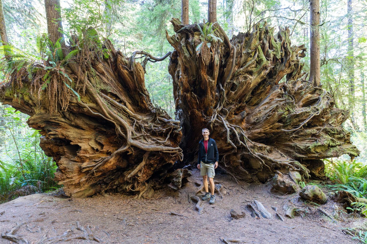 Tim at Fallen Tree Prairie Creek