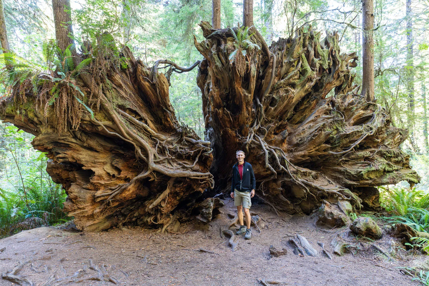 Tim at Fallen Tree Prairie Creek