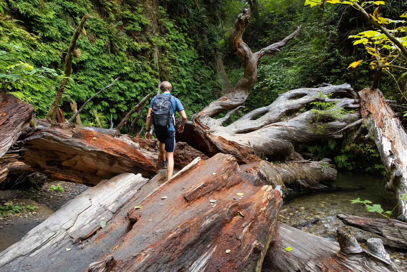 Tyler Scrambling over Logs