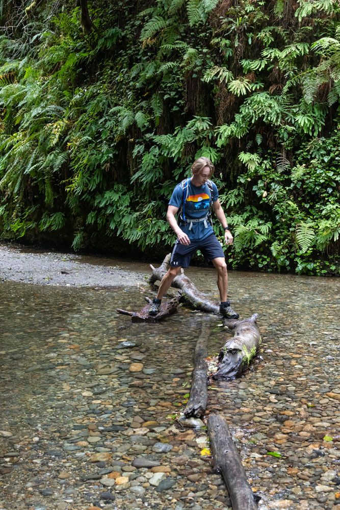 Tyler in Fern Canyon