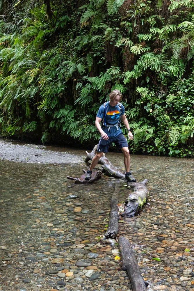 Tyler in Fern Canyon