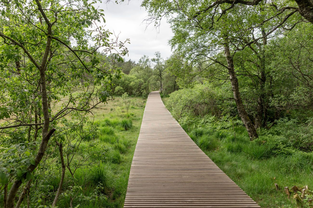 Pulpit Rock Boardwalk Trail
