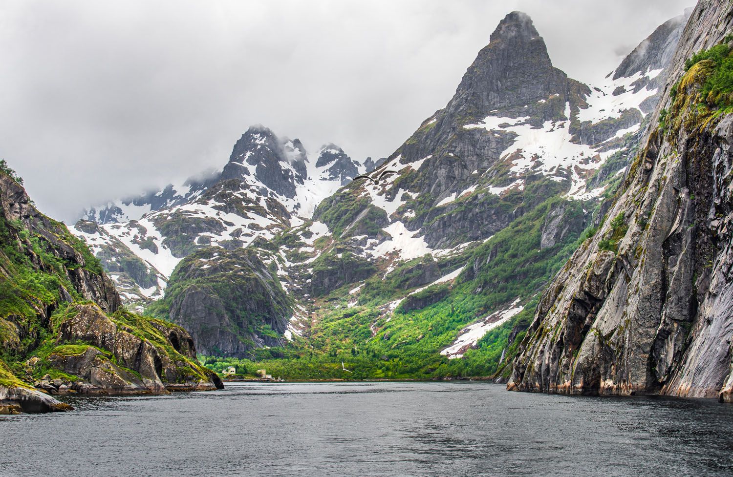 Trollfjord Cruise