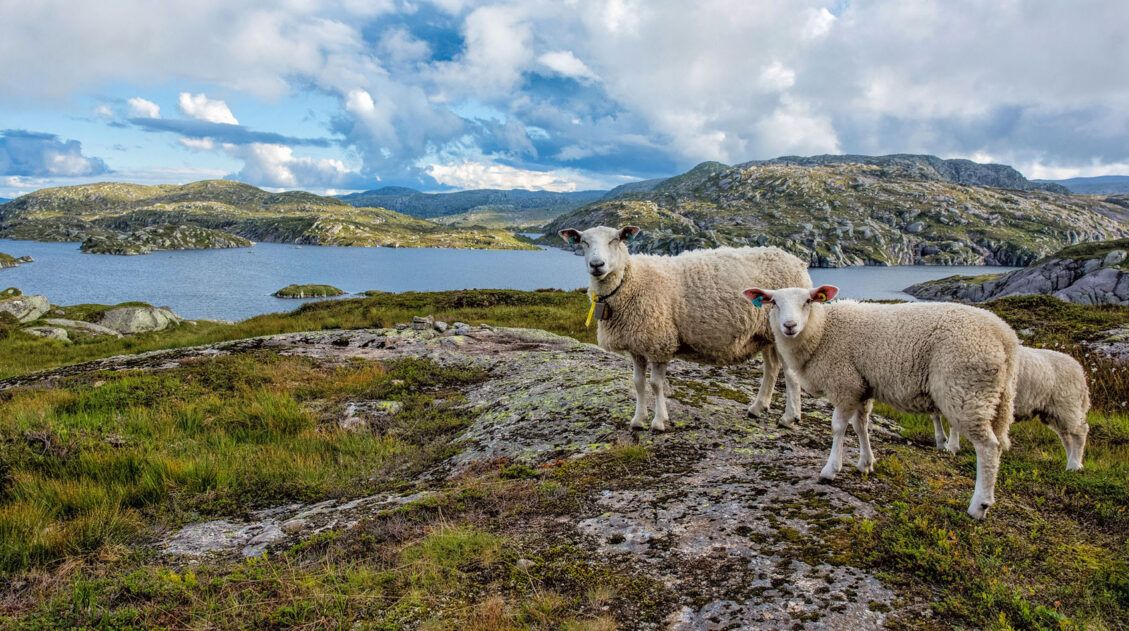 10 Day Summer Norway Itinerary