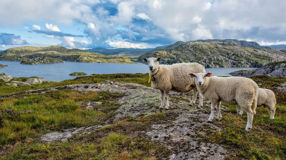 10 Day Summer Norway Itinerary
