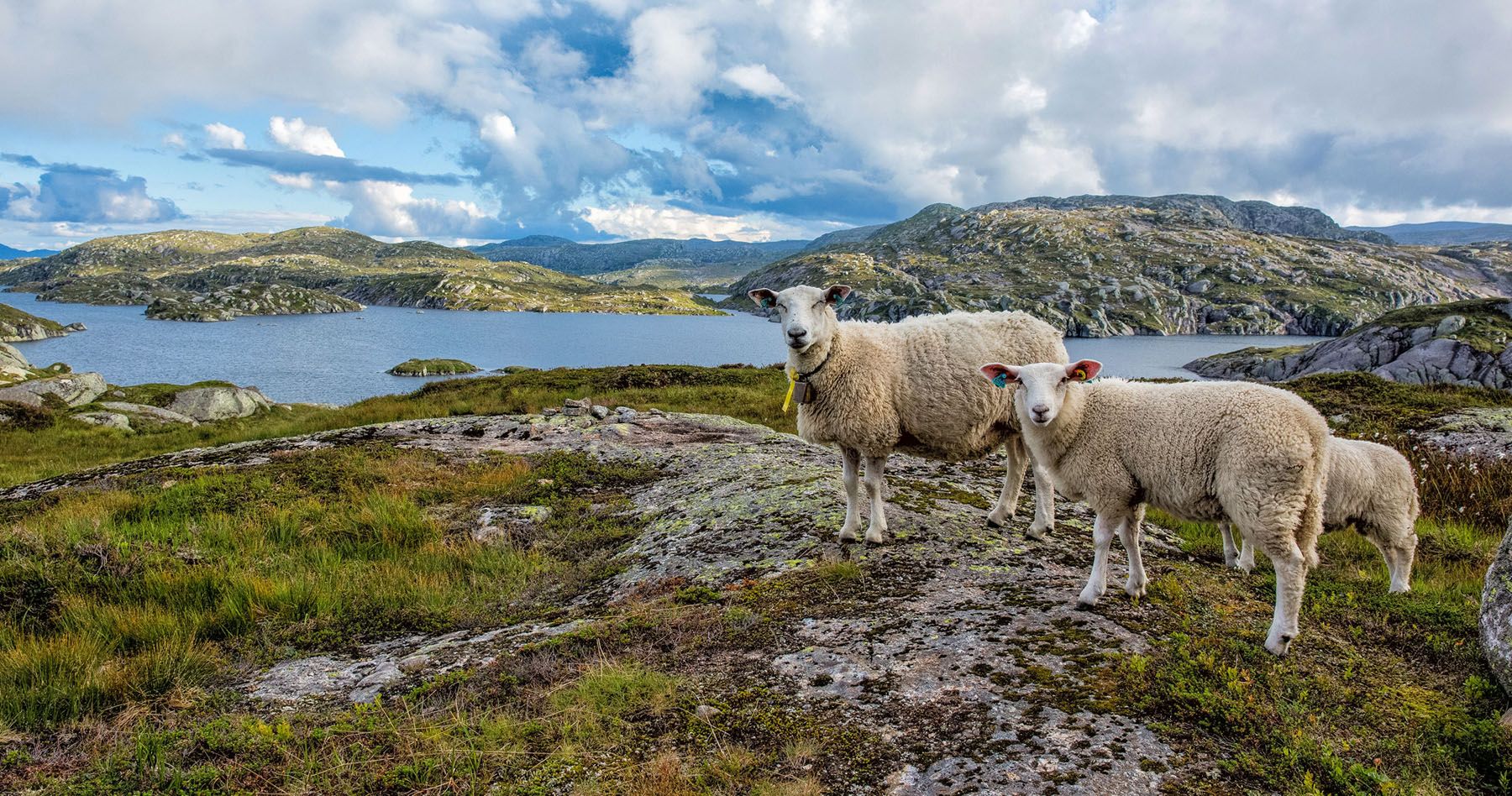 10 Day Summer Norway Itinerary