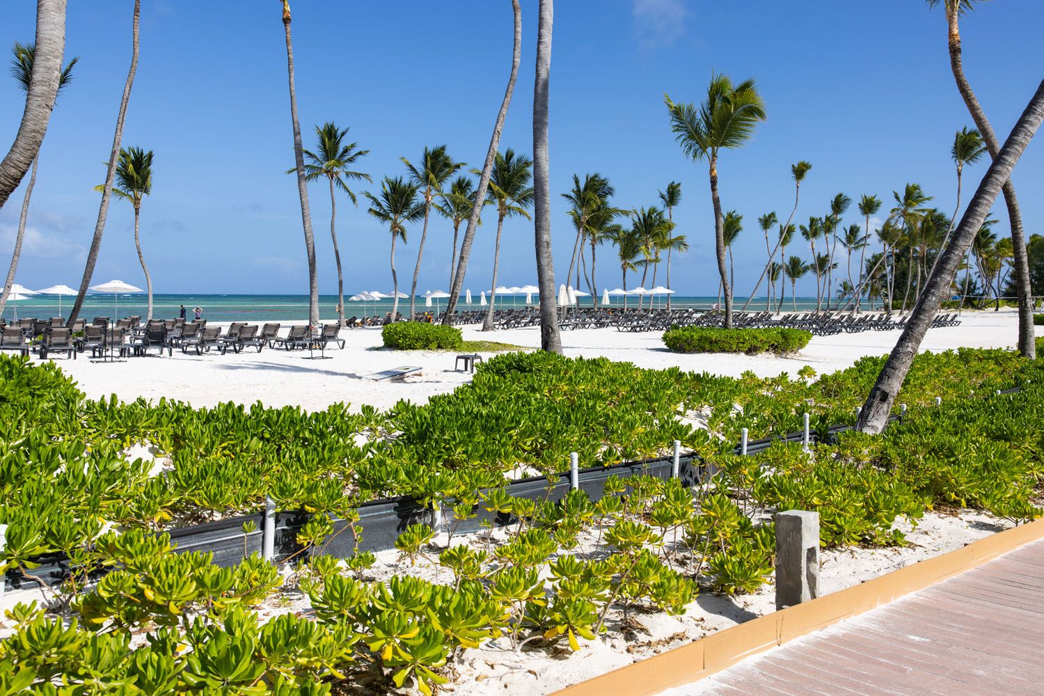 Hyatt Ziva Cap Cana Beach