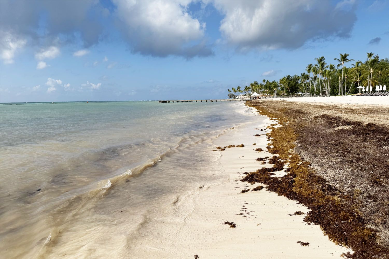 Ironman Cap Cana Seaweed on Beach