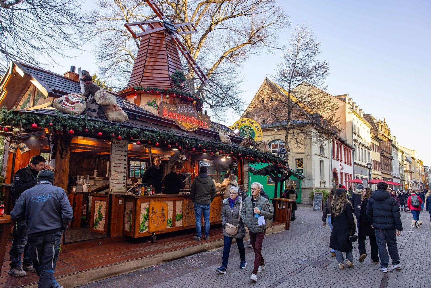 Anatomiegarten Heidelberg Market