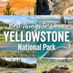 Best things to do in Yellowstone National Park: Old Faithful, Grand Prismatic Spring, Grand Canyon of the Yellowstone, Hayden and Lamar Valleys, geyser basins, hikes, scenic drives, and more.