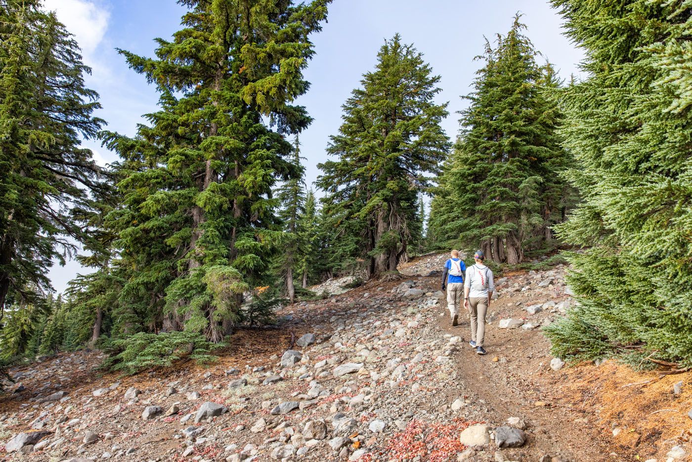 Brokeoff Mountain Hike