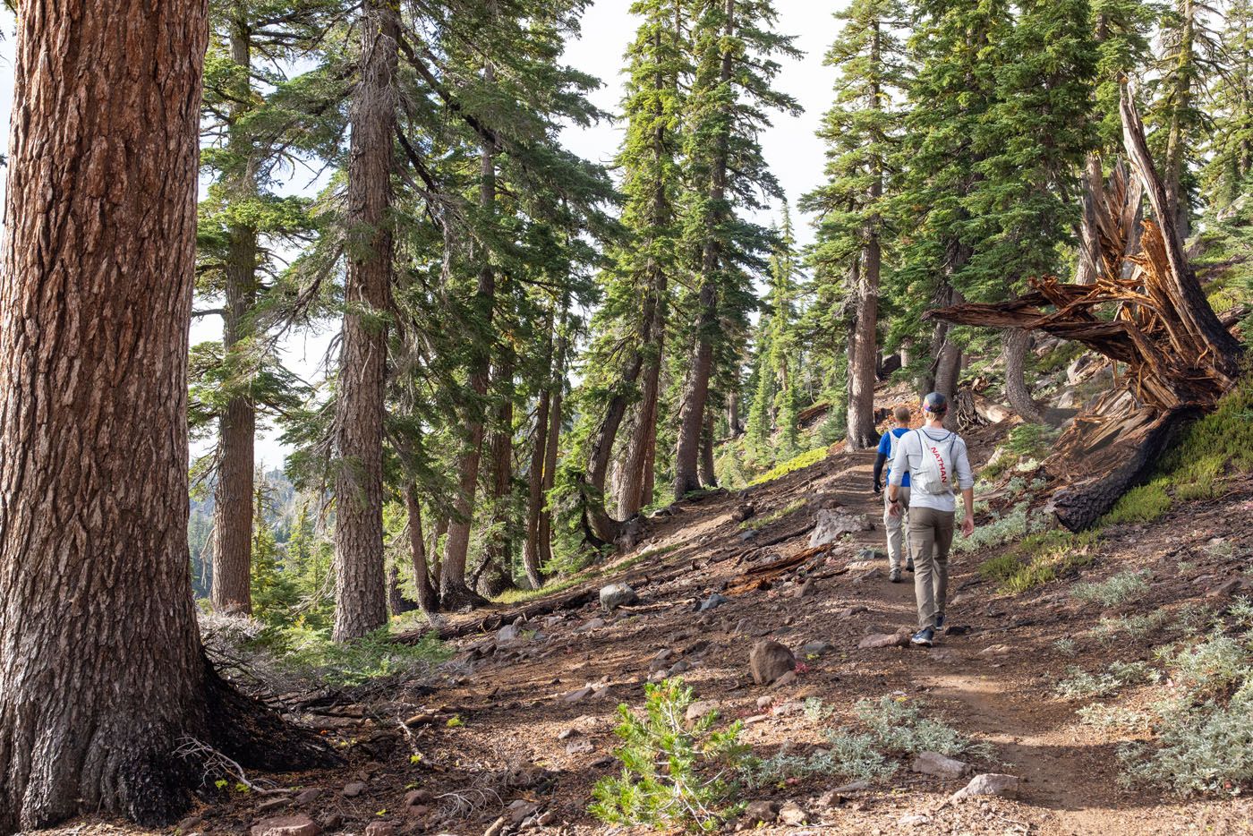 Brokeoff Mountain Trail Photo