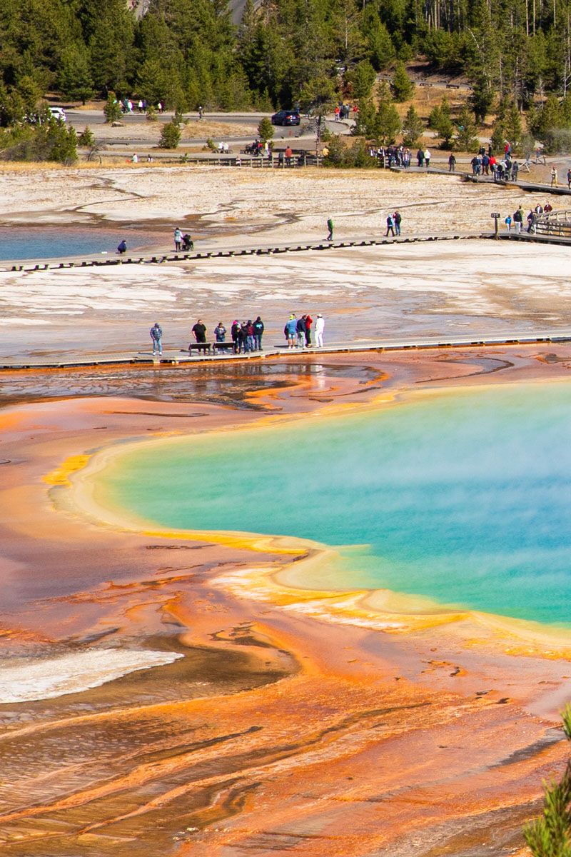 Grand Prismatic Spring from Overlook