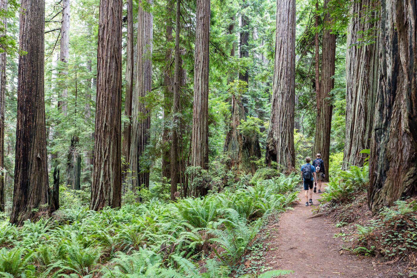 Hiking Trillium Falls Trail