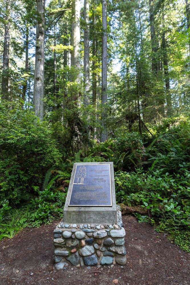 Lady Bird Johnson Grove Plaque