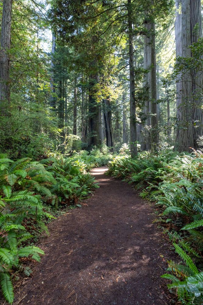 Lady Bird Johnson Trail