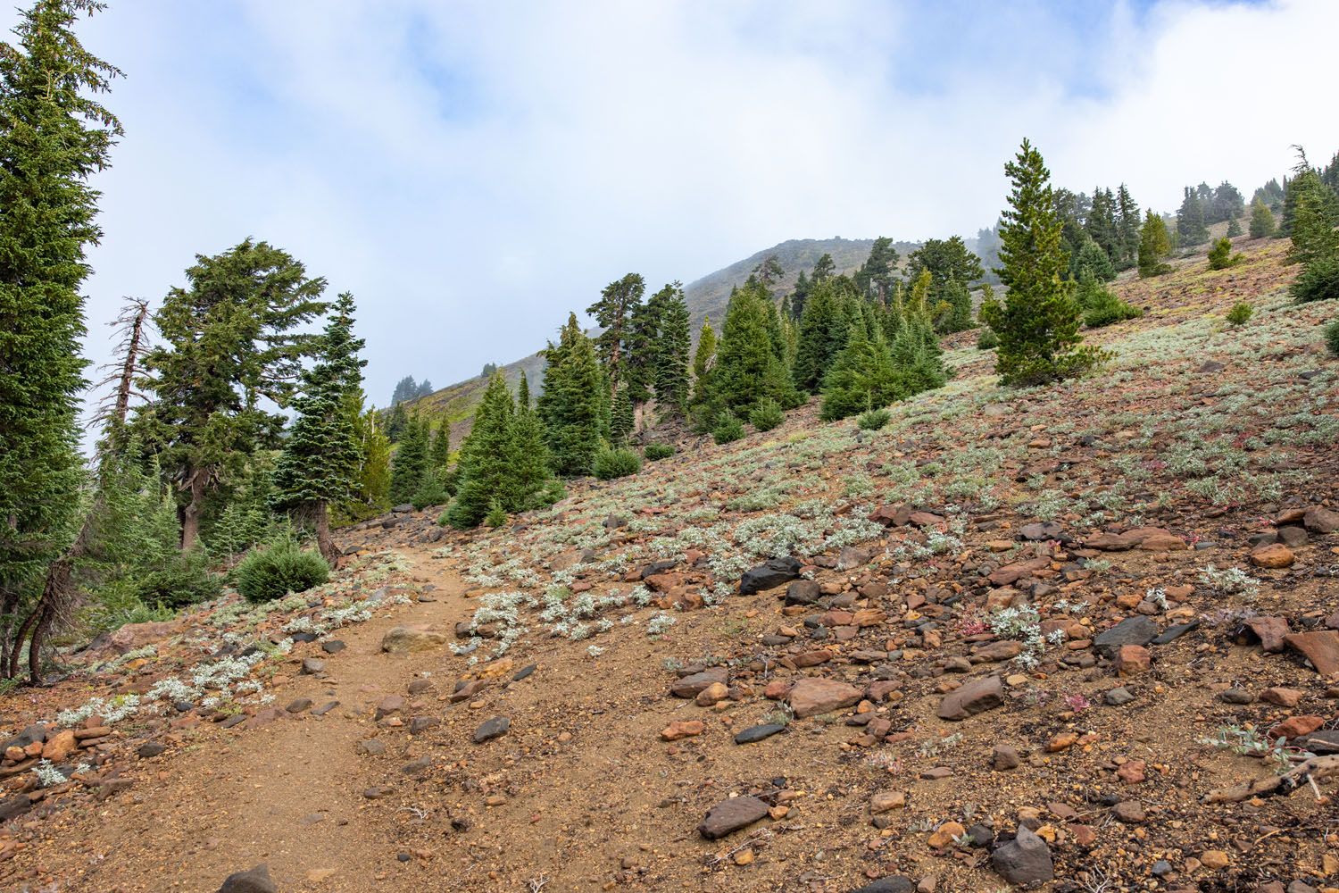 Nearing the Top