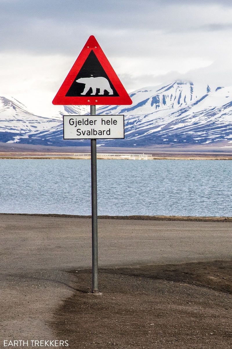 Polar Bear Sign in Svalbard
