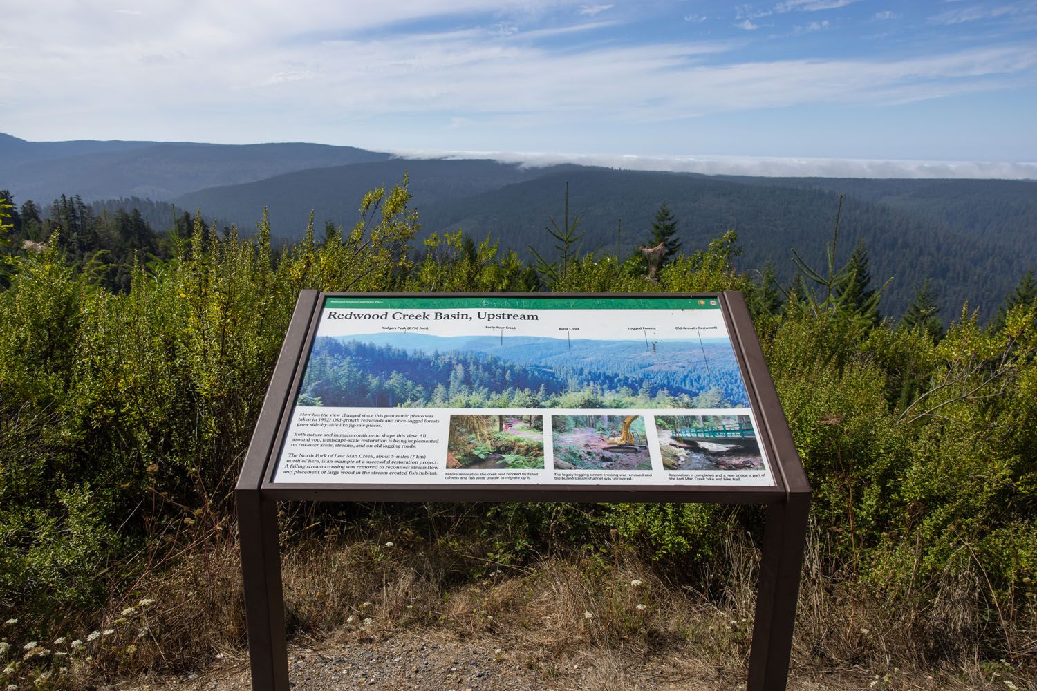 Redwood Creek Overlook