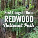 Redwood National Park Things to Do