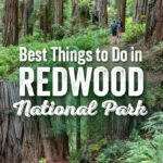 Redwood National Park Things to Do