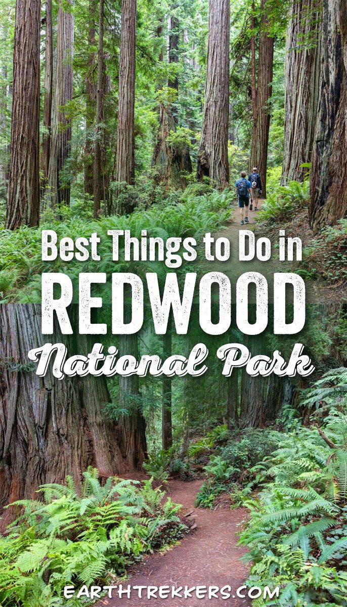 Redwood National Park Things to Do
