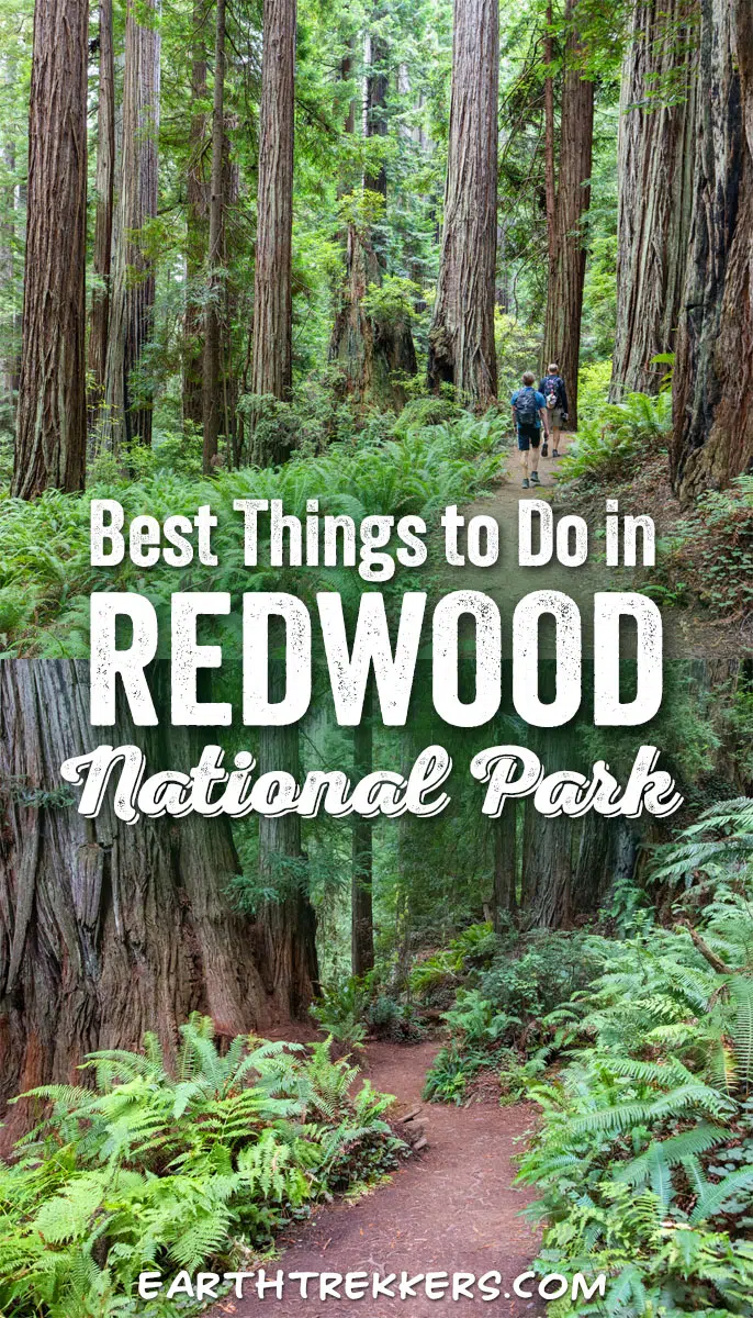 Redwood National Park Things to Do