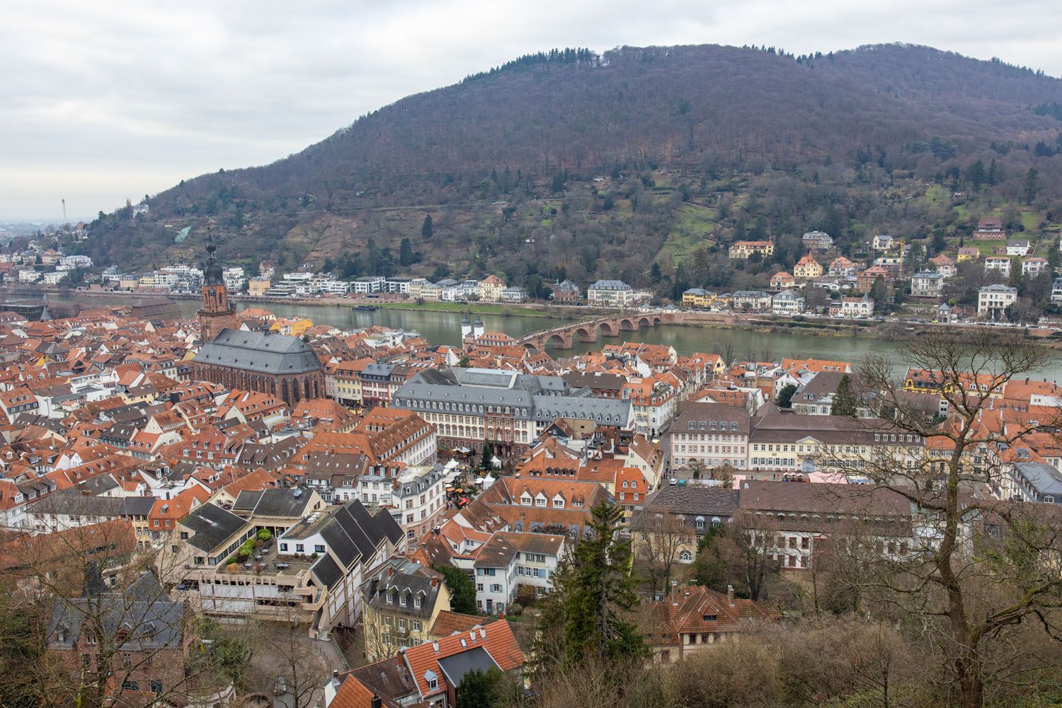 Schloss Heidelberg View