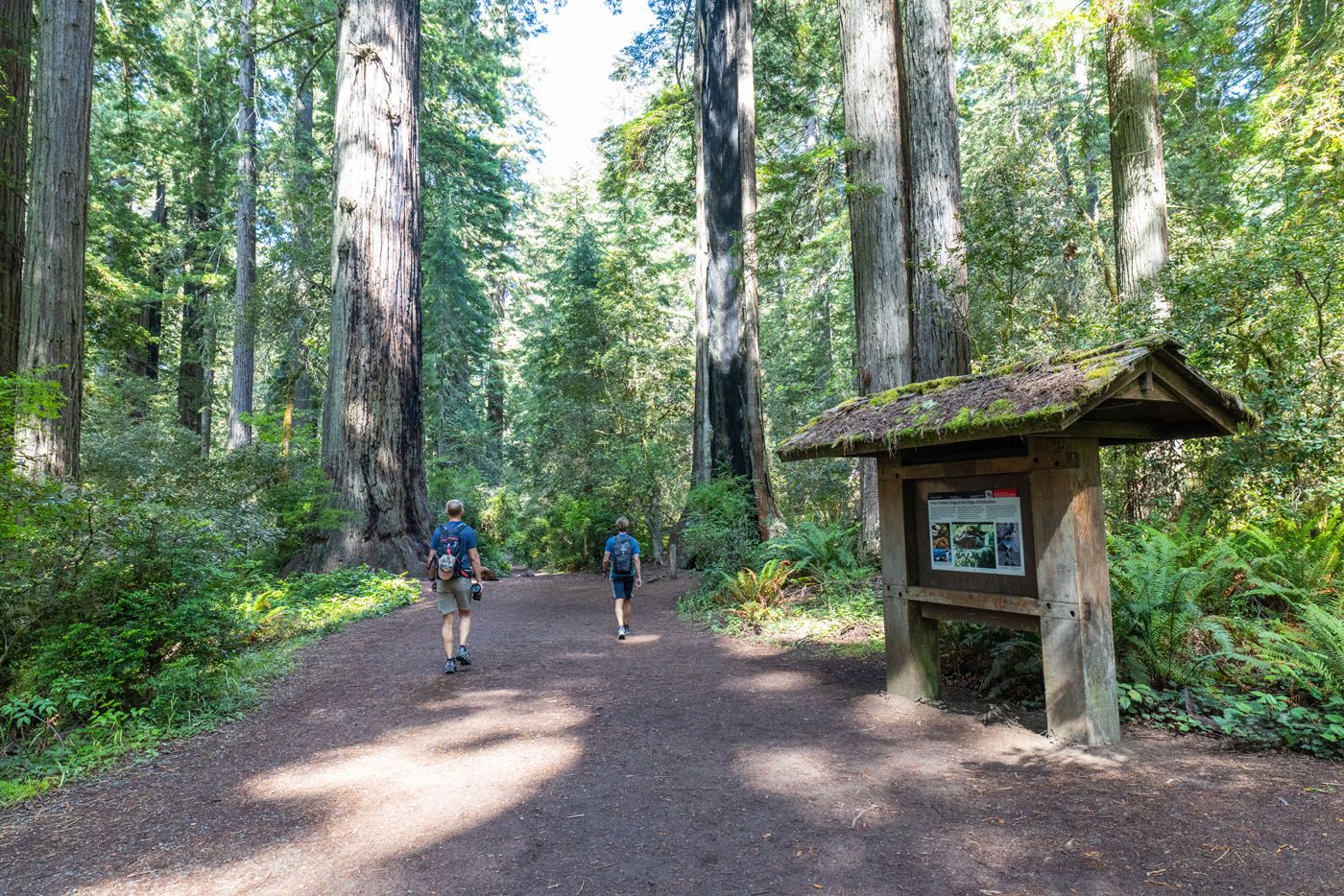 Tim Tyler in Lady Bird Johnson Grove