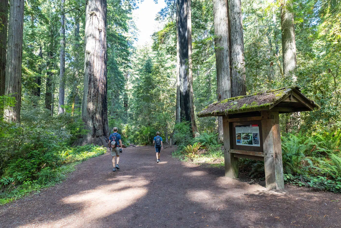 Tim Tyler in Lady Bird Johnson Grove