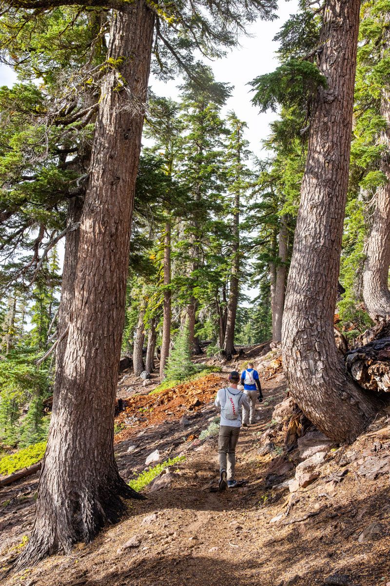 Tim Tyler on Brokeoff Mountain Trail