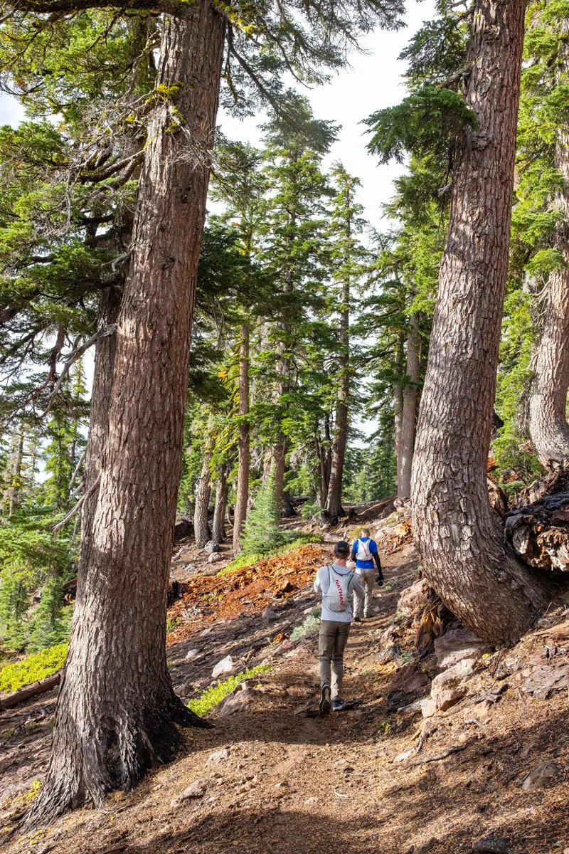 Tim Tyler on Brokeoff Mountain Trail