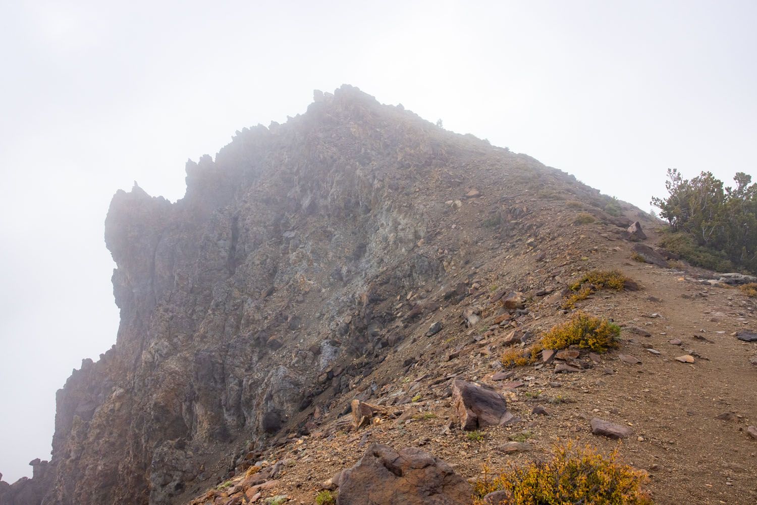 Top of Brokeoff Mountain Hike
