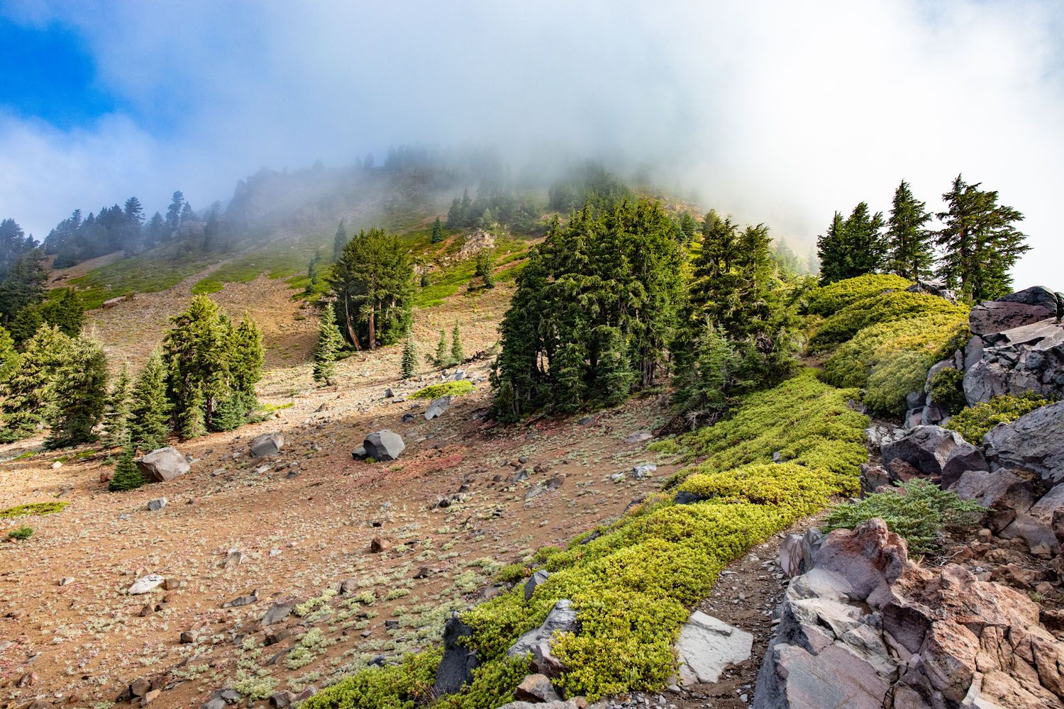 Top of Brokeoff Mountain