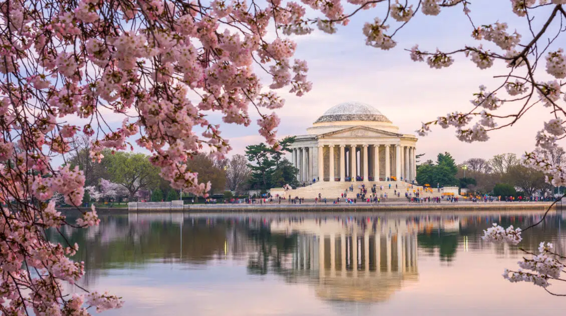 Washington DC Travel Guide
