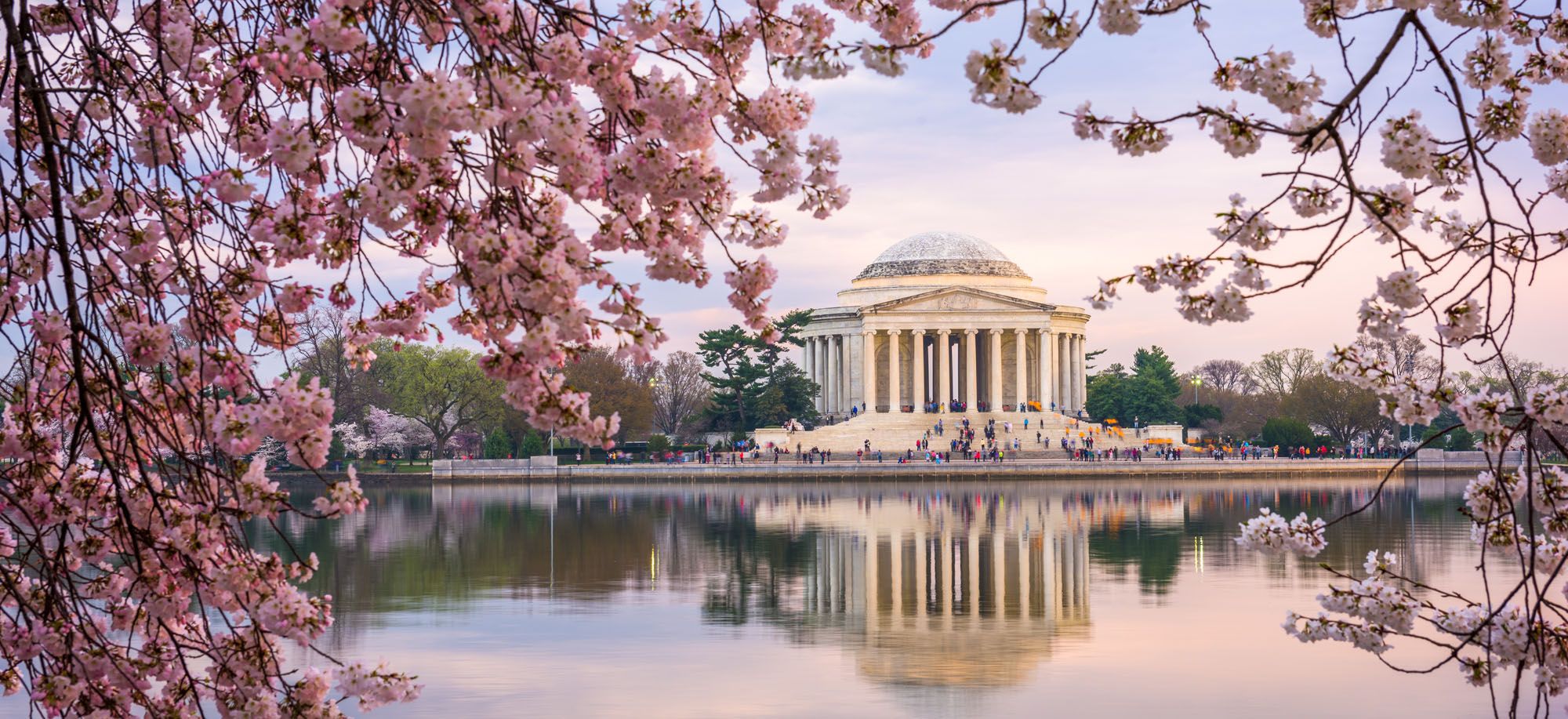 Washington DC Travel Guide
