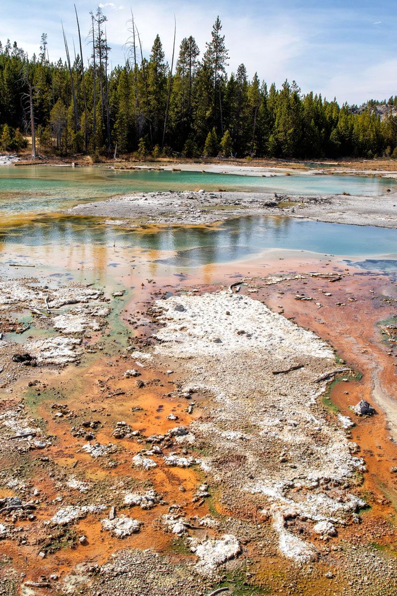 Yellowstone Norris Geyser Basin