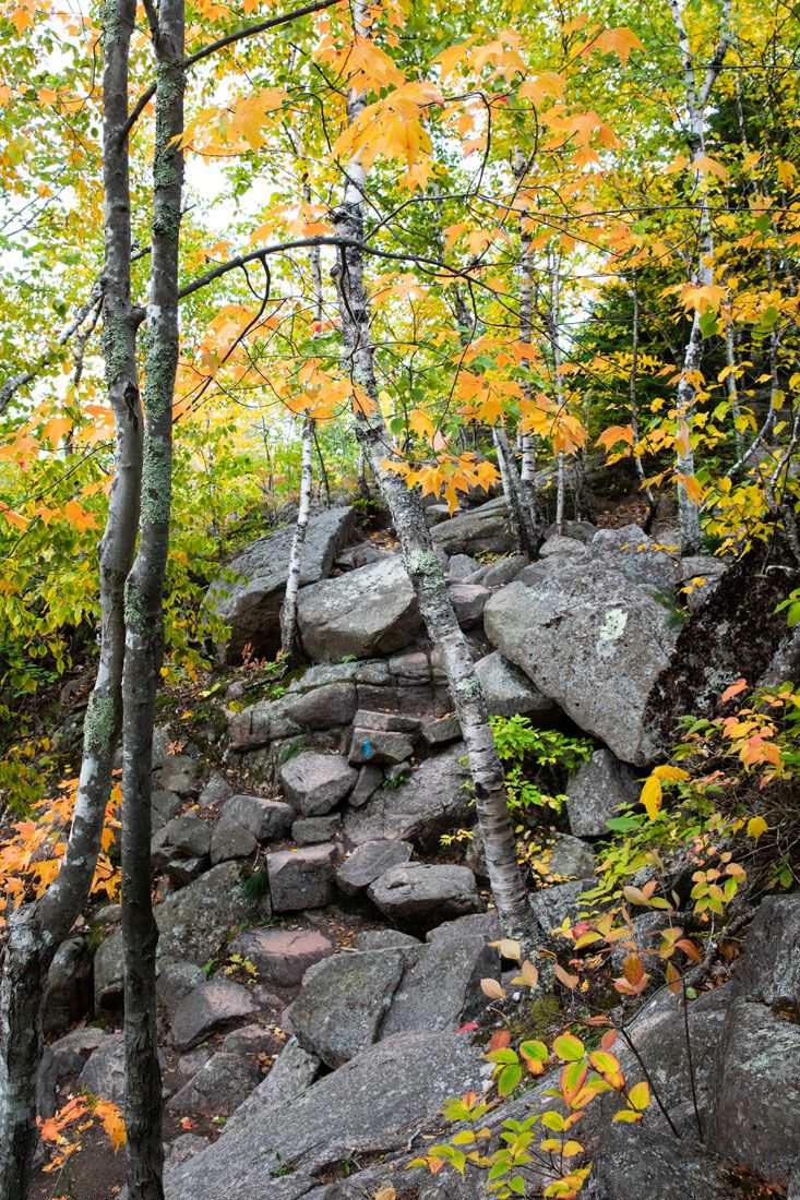 Beginning Precipice Trail