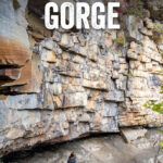 6 best hikes in New River Gorge National Park in West Virginia: Endless Wall Trail, Long Point Trail, Kaymoor Miners Trail, Castle Trail, Tunnel Trail and Sandstone Falls.