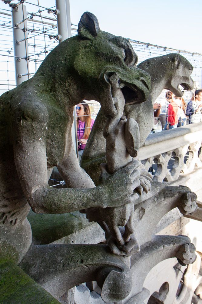 Gargoyle on Notre Dame