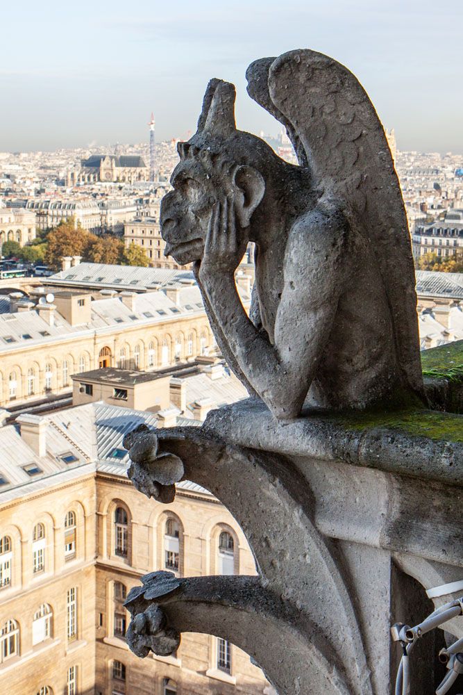 Gargoyle on Notre Dame