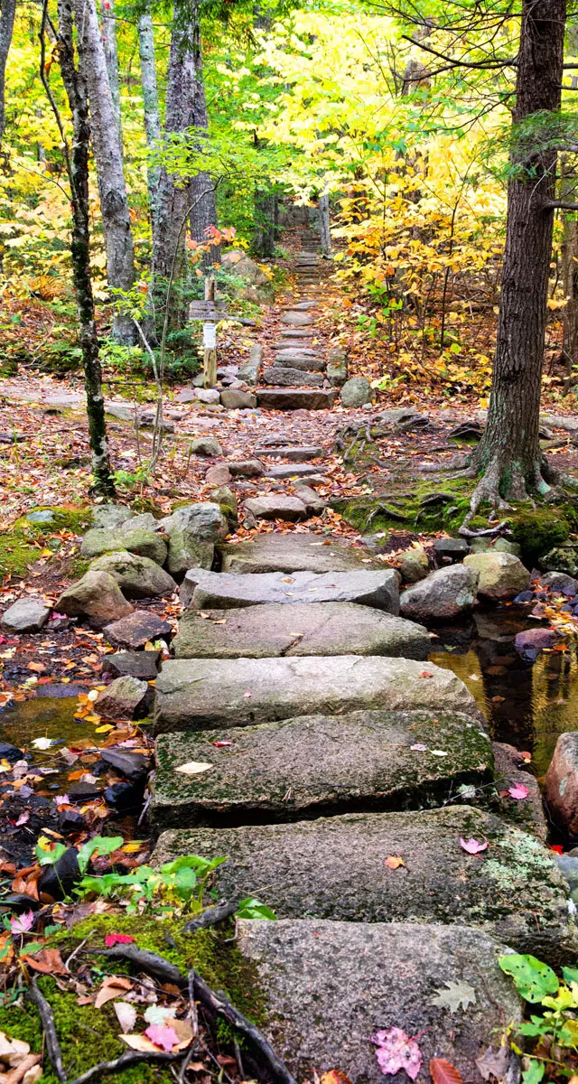 Acadia Hikes
