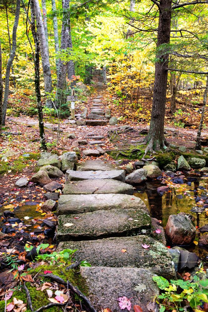 Acadia Hiking Trail October