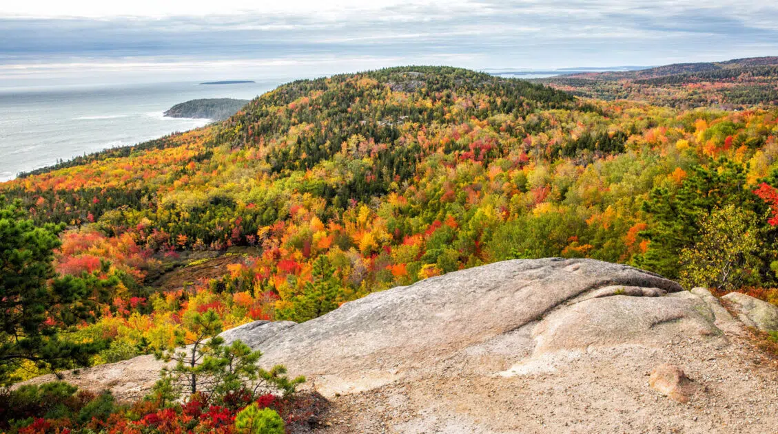 Beehive Trail Acadia